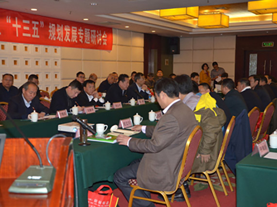 【湘潭恒欣】承辦&ldquo;國(guó)家礦用單軌吊和架空乘人裝置&lsquo;十三五&rsquo;規(guī)劃發(fā)展專題研討會(huì)&rdquo;